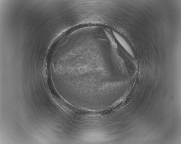 X0000053130680200507251750