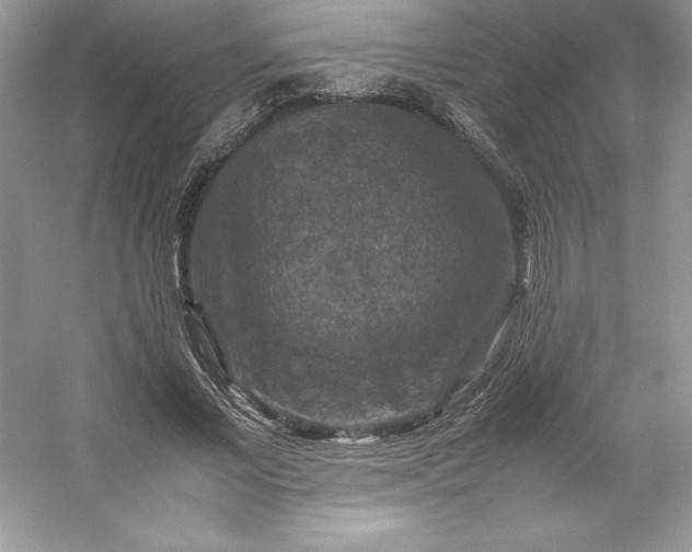 X0000053130685200507251750