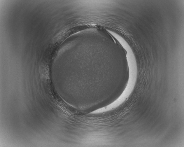 X0000053130689200507251750