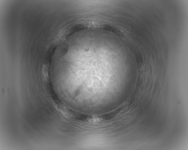 X0000053130695200507251750