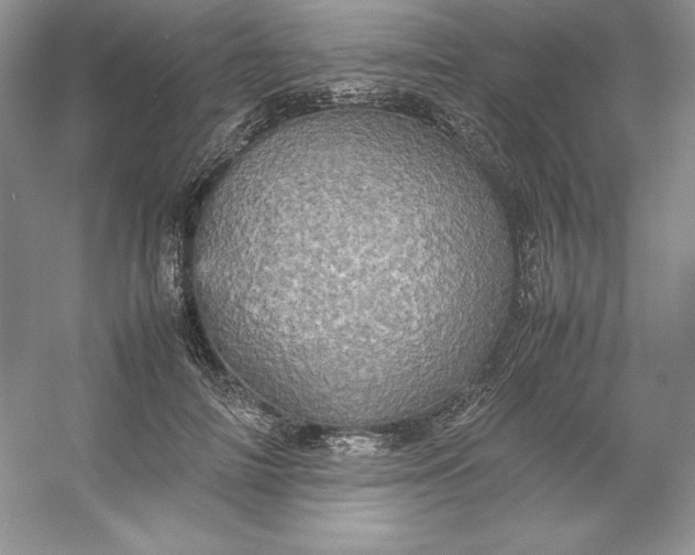 X0000053130698200507251749