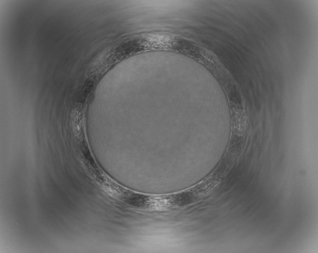 X0000053130701200507251749