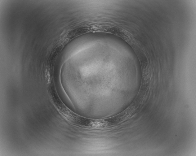 X0000053130703200507251749