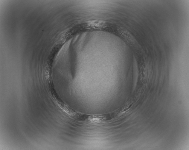 X0000053130706200507251749