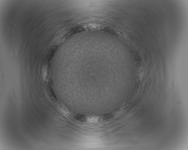 X0000053130709200507251749