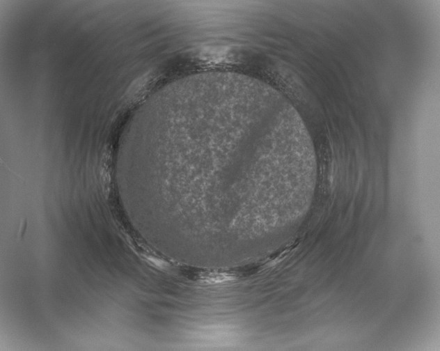 X0000053130710200507251749