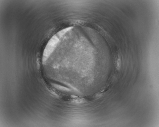 X0000053130716200507251749
