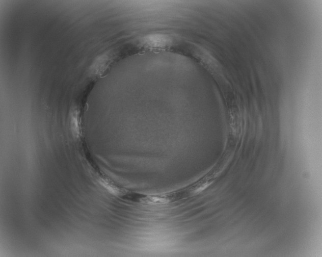 X0000053130718200507251749