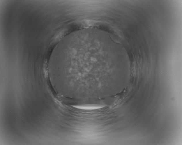 X0000053130719200507251749