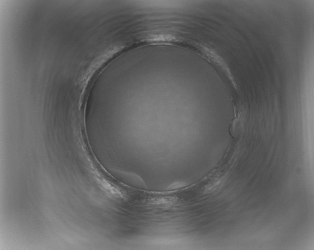 X0000053130721200507251748