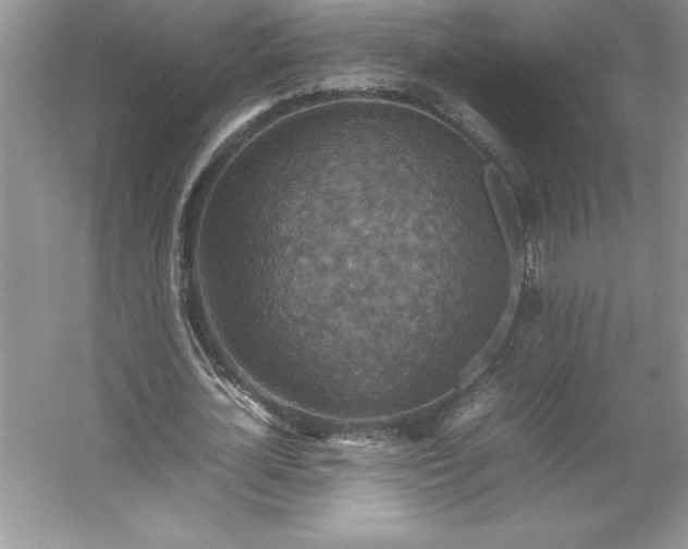 X0000053130724200507251748