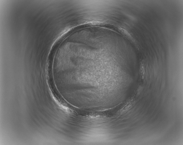 X0000053130730200507251748