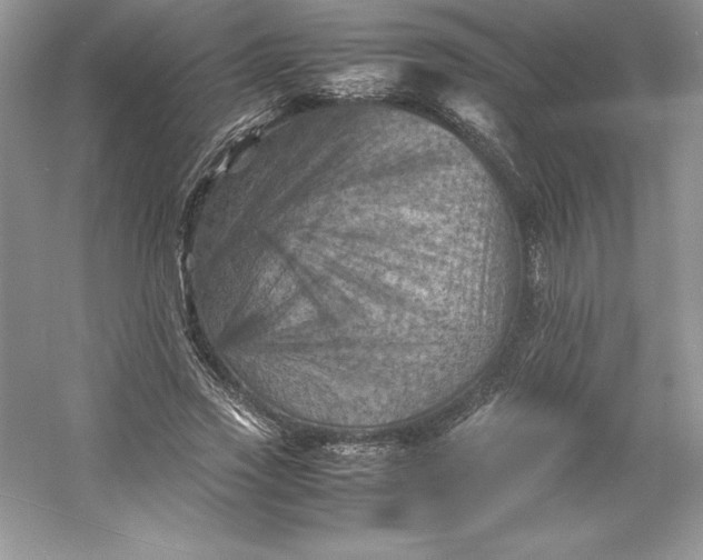 X0000053130733200507251748