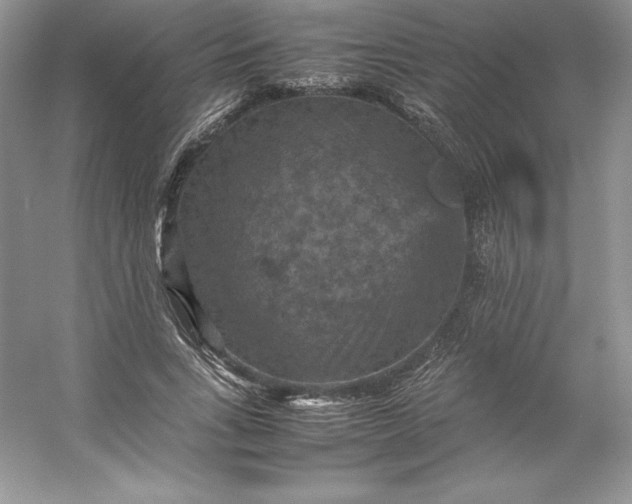 X0000053130735200507251749