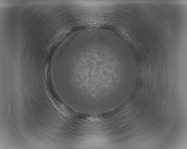 X0000053130742200507251749