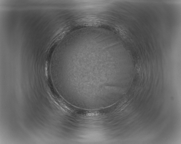 X0000053130744200507251749