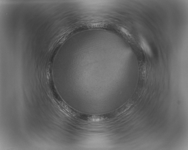 X0000053130746200507251749