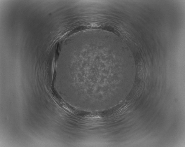 X0000053130747200507251749