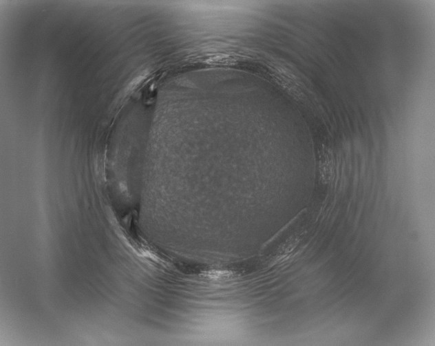 X0000053130748200507251749