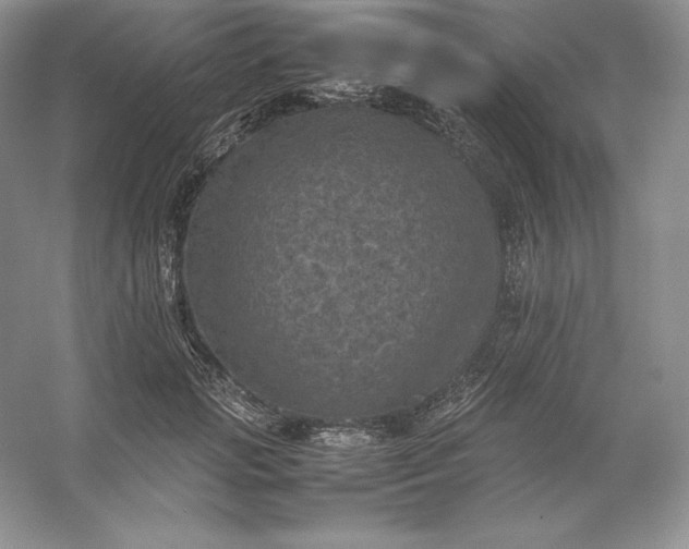 X0000053130749200507251749