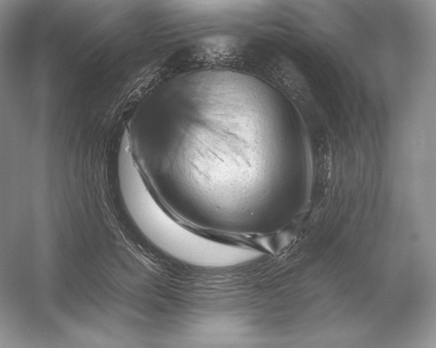 X0000053130750200507251749