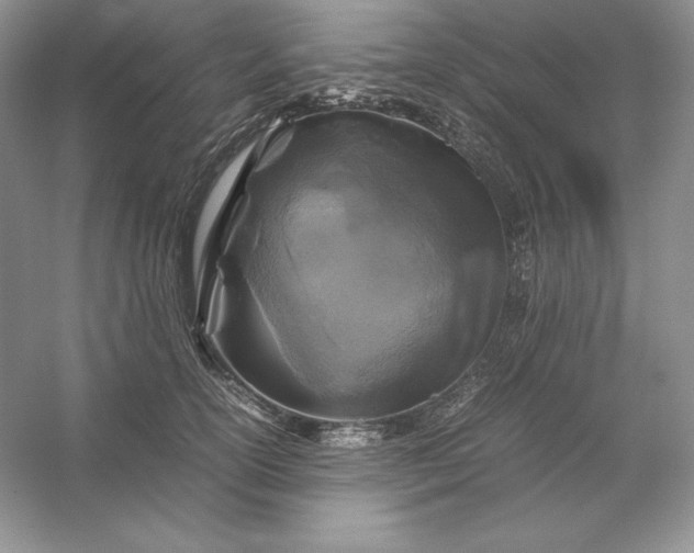 X0000053130754200507251749