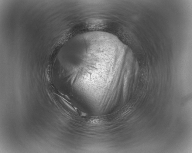 X0000053130755200507251749