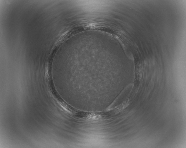 X0000053130760200507251749