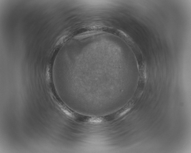 X0000053130762200507251749