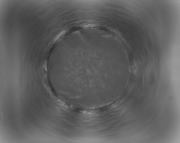 X0000053130763200507251749