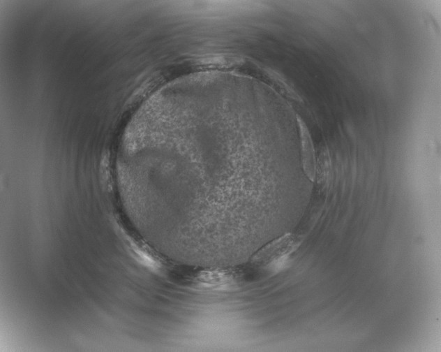 X0000053130764200507251749