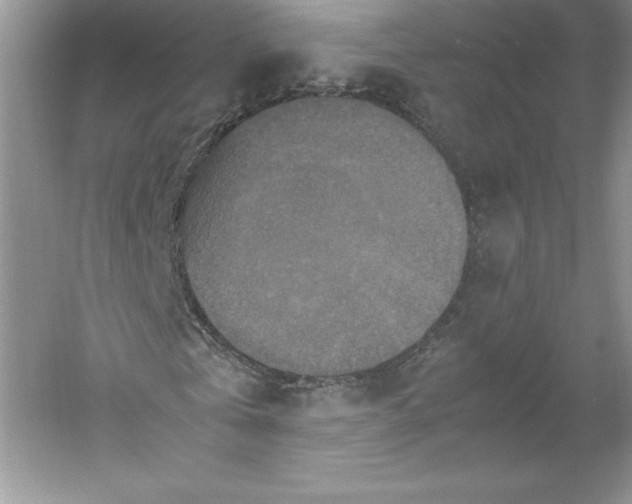 X0000053130769200507251748