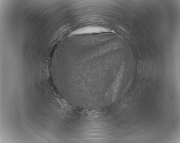 X0000053130774200507251748