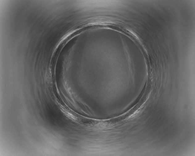 X0000053130779200507251748