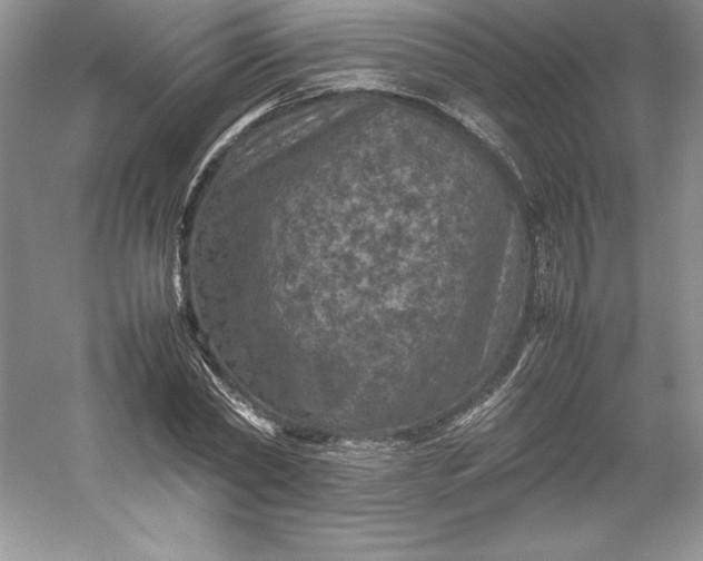 X0000053130782200507251748