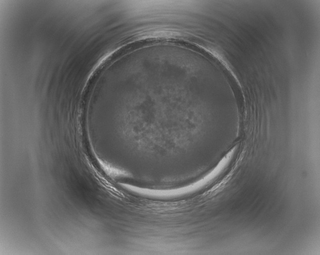 X0000053130783200507251748
