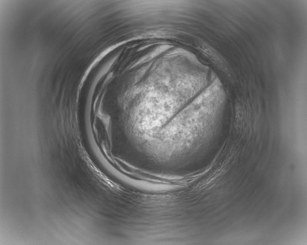 X0000053130784200507251748