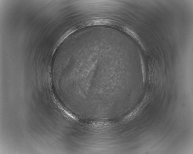 X0000053130786200507251748