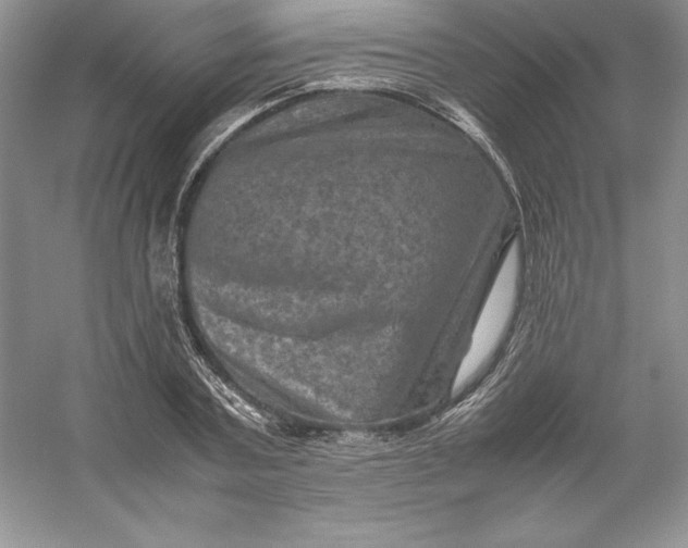 X0000053130787200507251748