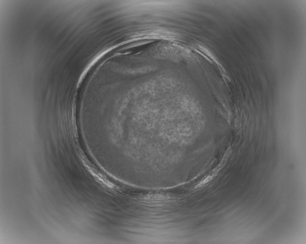 X0000053130788200507251748