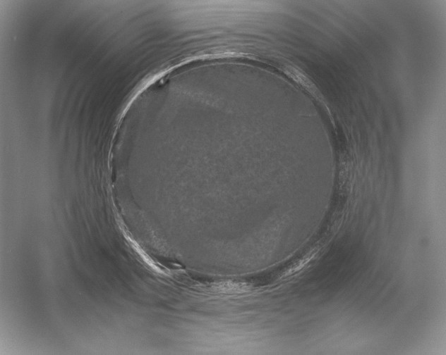 X0000053130789200507251748