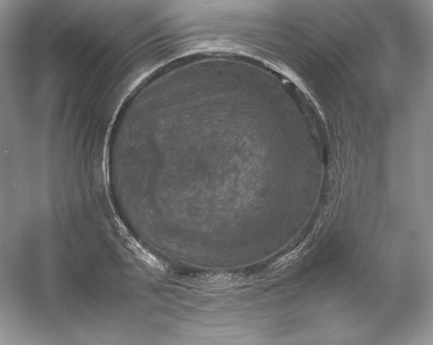 X0000053130791200507251748