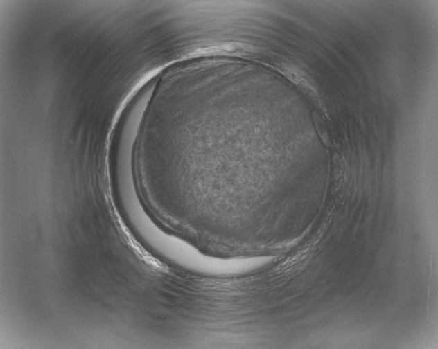 X0000053130792200507251748