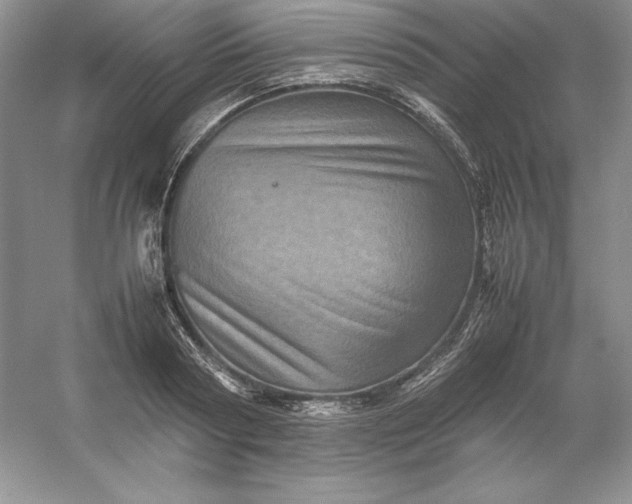 X0000053130794200507251748