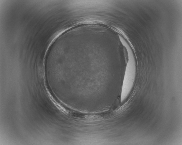 X0000053130795200507251748