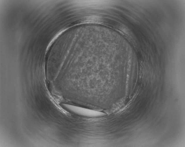 X0000053130796200507251748