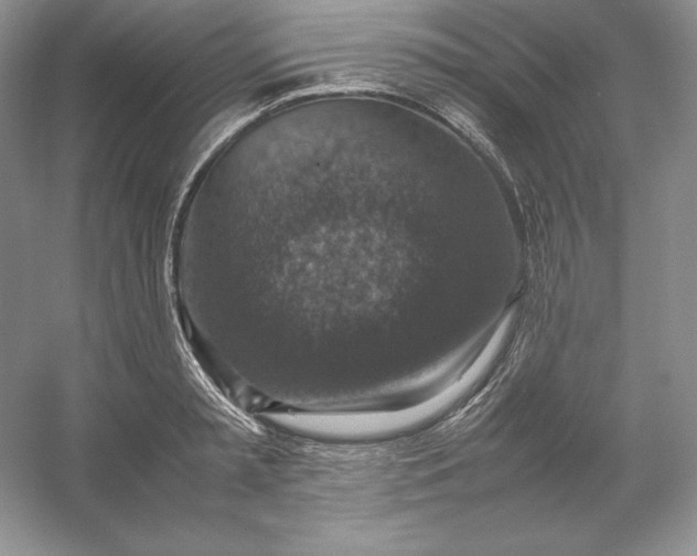 X0000053130797200507251748