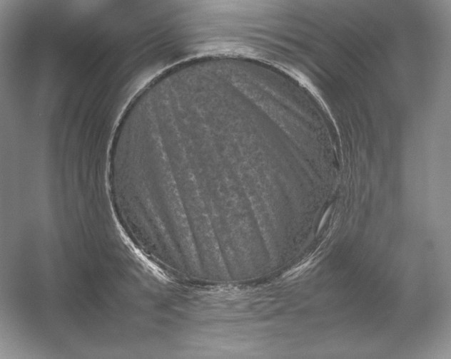 X0000053130799200507251748