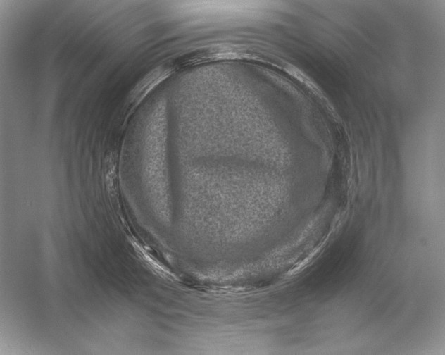 X0000053130801200507251748