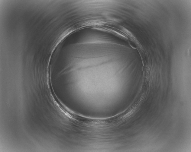 X0000053130802200507251748